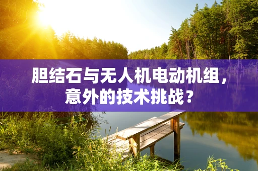 胆结石与无人机电动机组，意外的技术挑战？