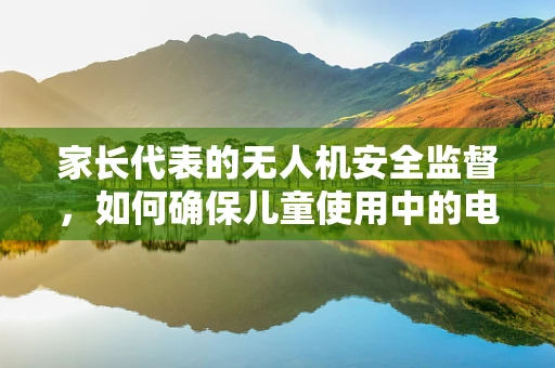 家长代表的无人机安全监督，如何确保儿童使用中的电动机组安全？