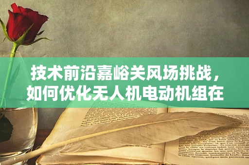 技术前沿嘉峪关风场挑战，如何优化无人机电动机组在复杂地形中的能效与稳定性？