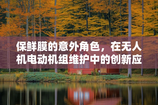 保鲜膜的意外角色，在无人机电动机组维护中的创新应用？