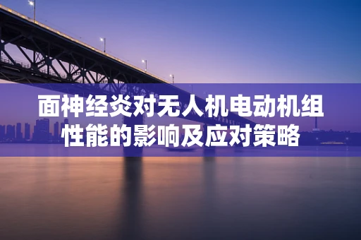面神经炎对无人机电动机组性能的影响及应对策略