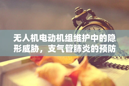 无人机电动机组维护中的隐形威胁，支气管肺炎的预防措施