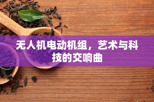 无人机电动机组，艺术与科技的交响曲