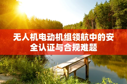 无人机电动机组领航中的安全认证与合规难题