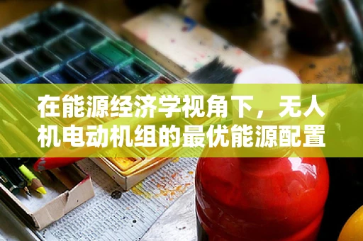 在能源经济学视角下，无人机电动机组的最优能源配置策略是什么？
