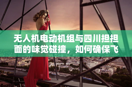 无人机电动机组与四川担担面的味觉碰撞，如何确保飞行中的味觉记忆？