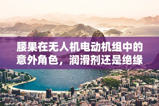 腰果在无人机电动机组中的意外角色，润滑剂还是绝缘体？