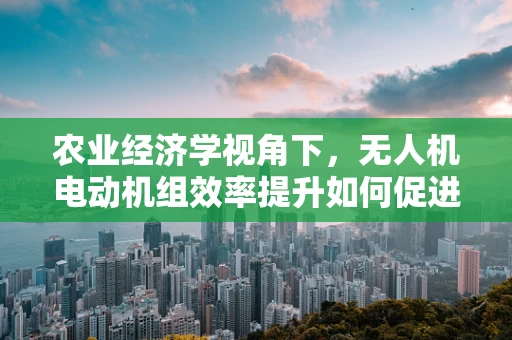 农业经济学视角下，无人机电动机组效率提升如何促进农业可持续发展？