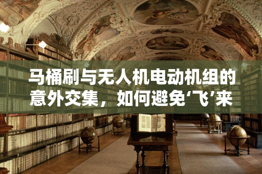 马桶刷与无人机电动机组的意外交集，如何避免‘飞’来横祸？
