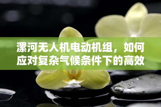漯河无人机电动机组，如何应对复杂气候条件下的高效稳定飞行？