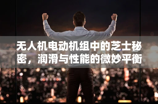 无人机电动机组中的芝士秘密，润滑与性能的微妙平衡