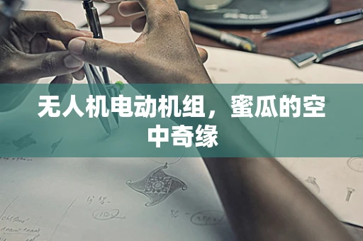 无人机电动机组，蜜瓜的空中奇缘