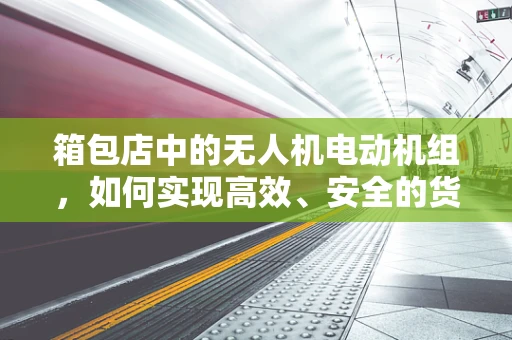 箱包店中的无人机电动机组，如何实现高效、安全的货物配送？