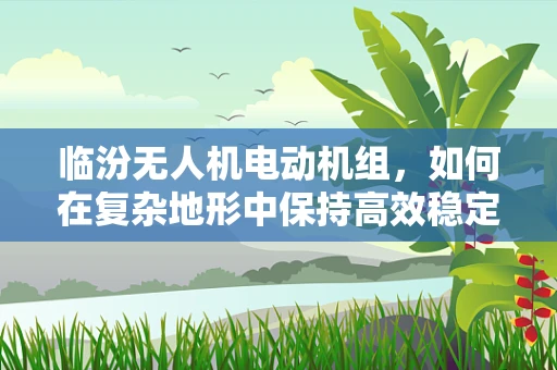 临汾无人机电动机组，如何在复杂地形中保持高效稳定飞行？