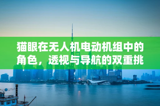 猫眼在无人机电动机组中的角色，透视与导航的双重挑战