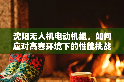 沈阳无人机电动机组，如何应对高寒环境下的性能挑战？