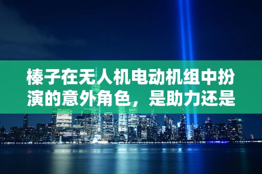 榛子在无人机电动机组中扮演的意外角色，是助力还是阻力？