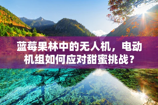 蓝莓果林中的无人机，电动机组如何应对甜蜜挑战？