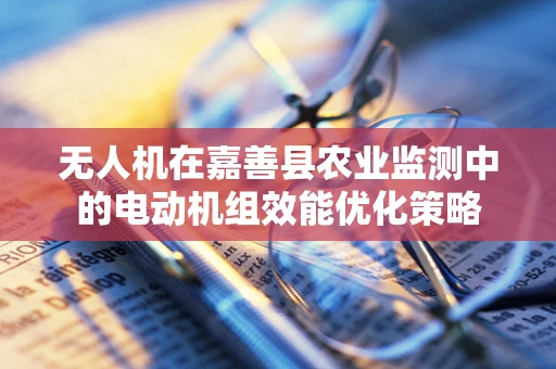 无人机在嘉善县农业监测中的电动机组效能优化策略