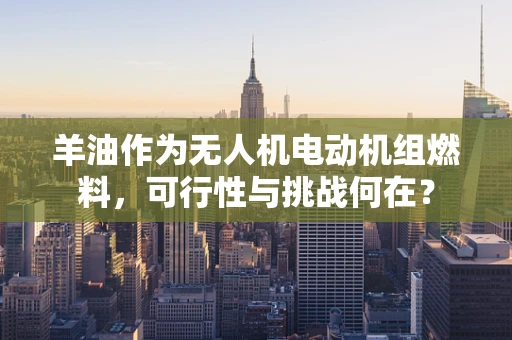 羊油作为无人机电动机组燃料，可行性与挑战何在？