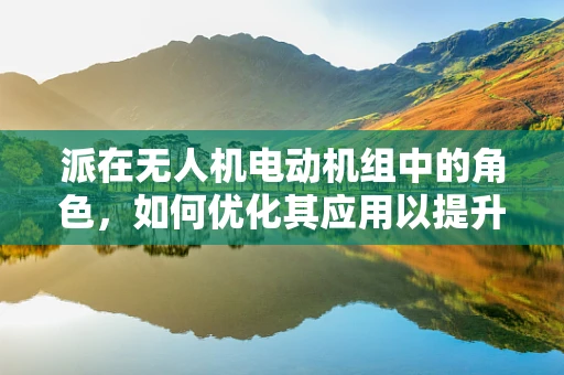 派在无人机电动机组中的角色，如何优化其应用以提升飞行效率？