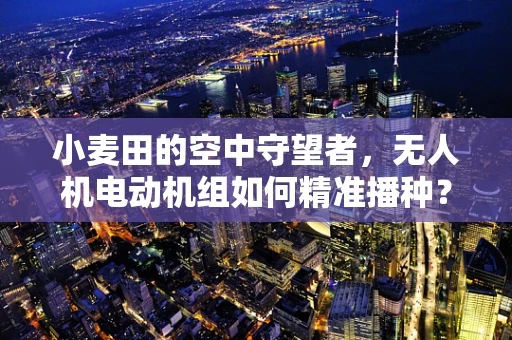 小麦田的空中守望者，无人机电动机组如何精准播种？