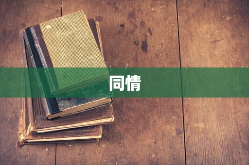 同情