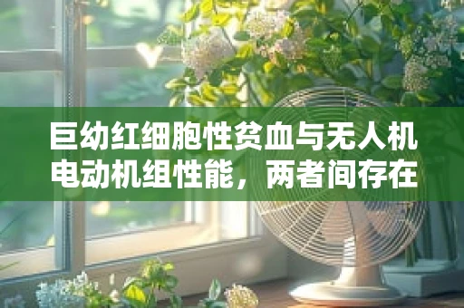 巨幼红细胞性贫血与无人机电动机组性能，两者间存在隐秘联系吗？
