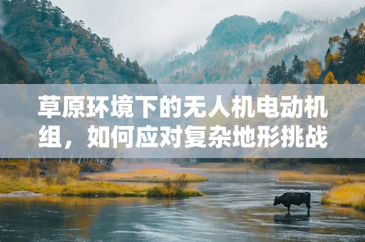 草原环境下的无人机电动机组，如何应对复杂地形挑战？
