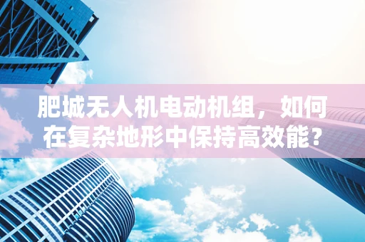 肥城无人机电动机组，如何在复杂地形中保持高效能？