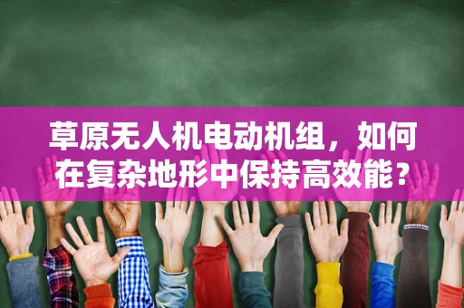 草原无人机电动机组，如何在复杂地形中保持高效能？