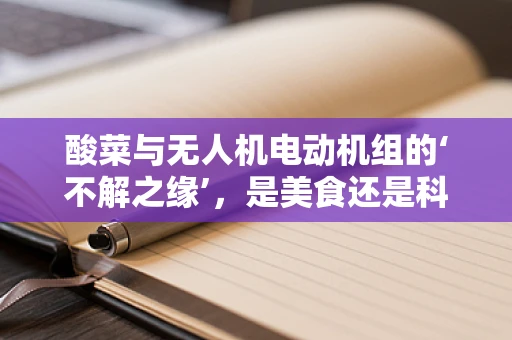 酸菜与无人机电动机组的‘不解之缘’，是美食还是科技挑战？
