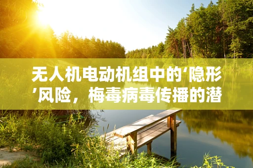 无人机电动机组中的‘隐形’风险，梅毒病毒传播的潜在威胁？