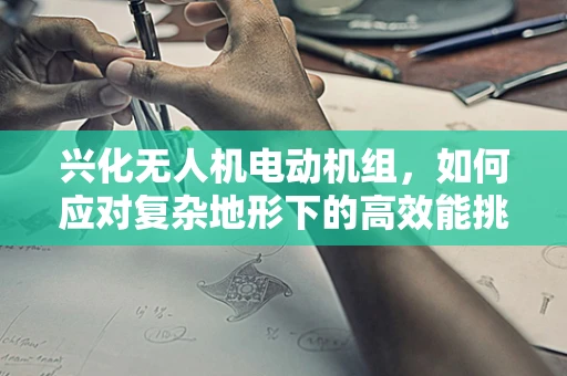 兴化无人机电动机组，如何应对复杂地形下的高效能挑战？
