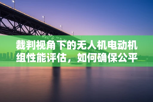 裁判视角下的无人机电动机组性能评估，如何确保公平与精准？