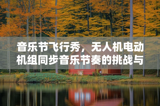 音乐节飞行秀，无人机电动机组同步音乐节奏的挑战与解决方案