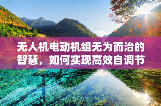 无人机电动机组无为而治的智慧，如何实现高效自调节？