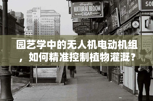 园艺学中的无人机电动机组，如何精准控制植物灌溉？