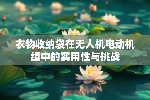 衣物收纳袋在无人机电动机组中的实用性与挑战