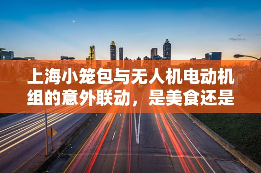 上海小笼包与无人机电动机组的意外联动，是美食还是技术挑战？
