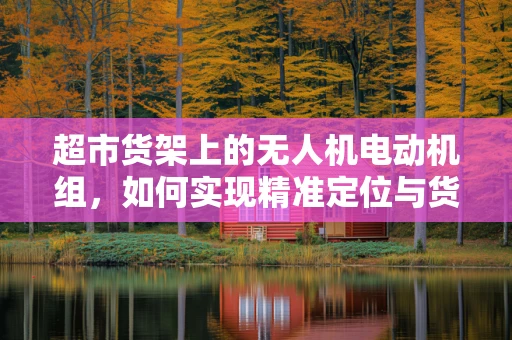 超市货架上的无人机电动机组，如何实现精准定位与货物监控？