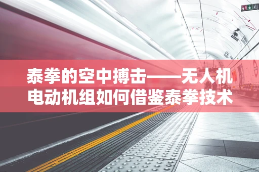 泰拳的空中搏击——无人机电动机组如何借鉴泰拳技术提升飞行稳定性？