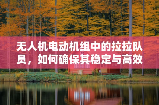 无人机电动机组中的拉拉队员，如何确保其稳定与高效？