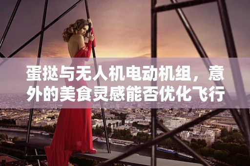 蛋挞与无人机电动机组，意外的美食灵感能否优化飞行性能？