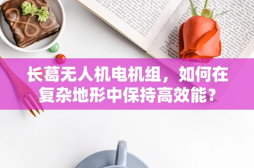长葛无人机电机组，如何在复杂地形中保持高效能？
