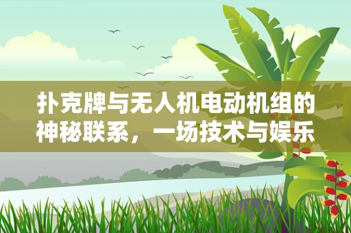 扑克牌与无人机电动机组的神秘联系，一场技术与娱乐的跨界探索