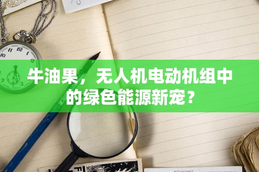 牛油果，无人机电动机组中的绿色能源新宠？