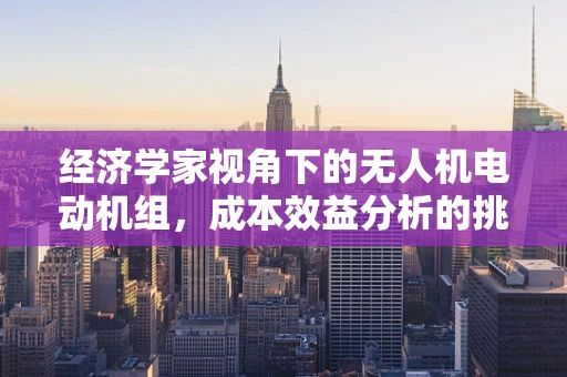 经济学家视角下的无人机电动机组，成本效益分析的挑战与机遇