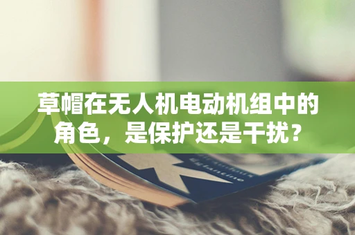 草帽在无人机电动机组中的角色，是保护还是干扰？