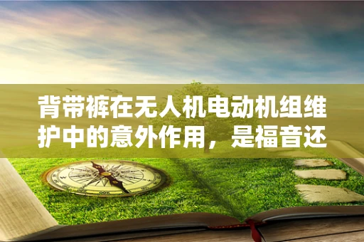 背带裤在无人机电动机组维护中的意外作用，是福音还是隐患？